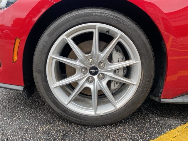 Used Car 2024 Ford Mustang  Gt Premium For Sale Under $50,000 In San Antonio, Texas