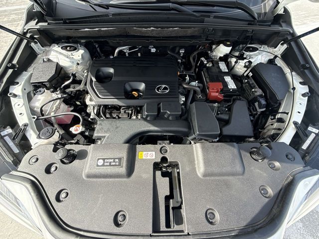 Used 2025 Lexus NX SUV