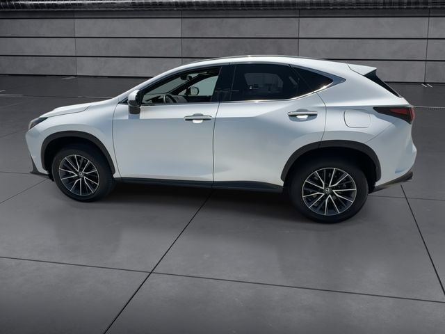 Used 2025 Lexus NX SUV