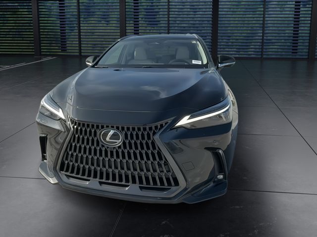Used 2025 Lexus NX SUV