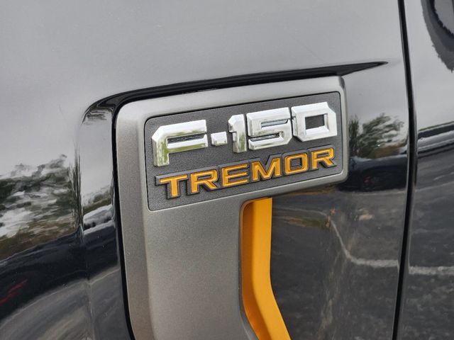 2024 Ford F-150 Tremor 13