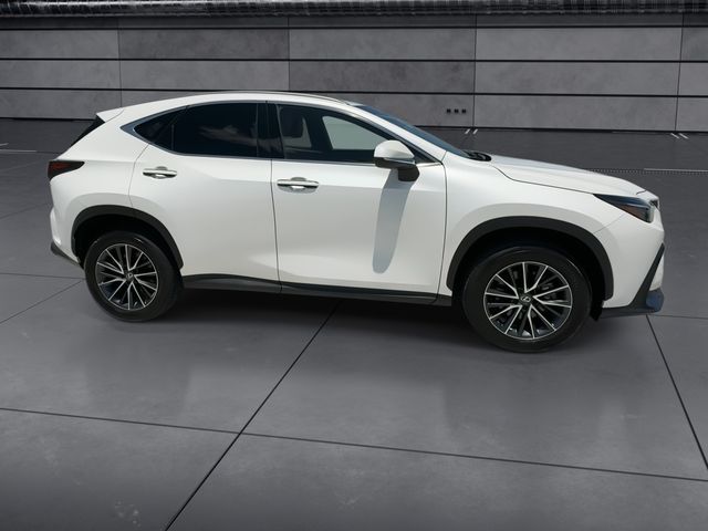 Used 2025 Lexus NX SUV