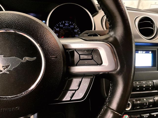 2019 Ford Mustang GT Red at Grove City Ford
