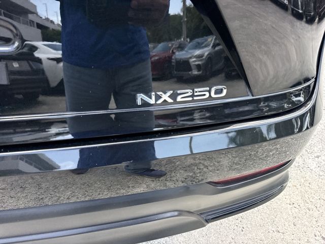Used 2023 Lexus NX SUV