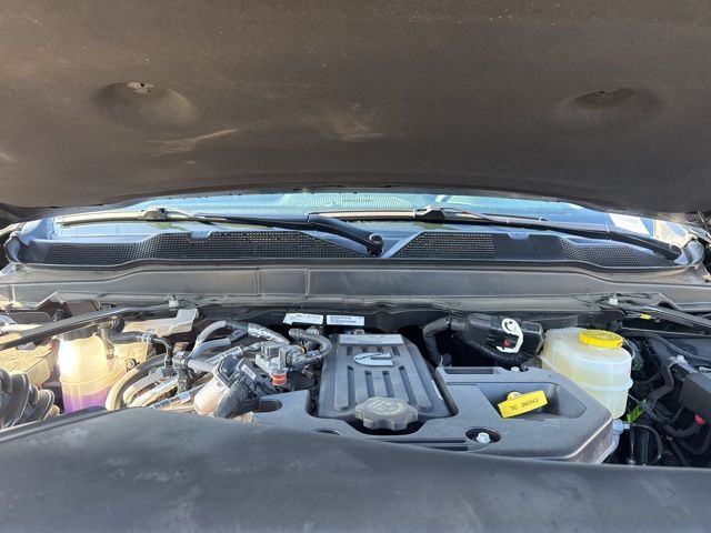 New 2026 Black Ram Tradesman image 15