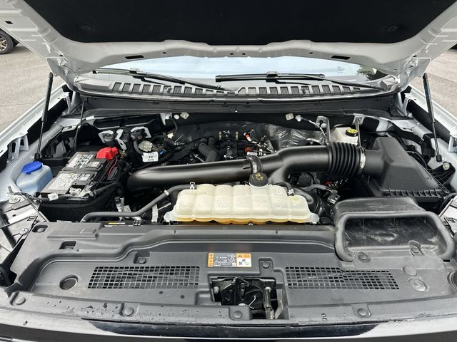 Certified Used 2025 White Ford Active image 20