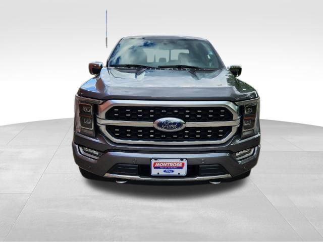 2023 Ford F-150 Platinum 6