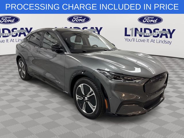 Gray Metallic 2023 Ford Mustang Mach-E SUV / Crossover Rear-Wheel Drive Automatic