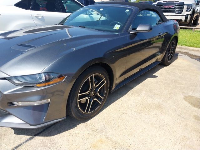 Gray (Magnetic) 2019 Ford Mustang Convertible Rear-Wheel Drive Automatic