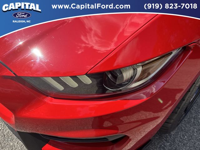 Used 2016  Ford Shelby GT350 image 11