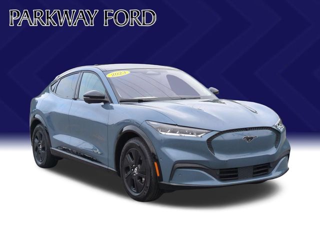 Used 2023 Blue Ford California Route 1 image 7