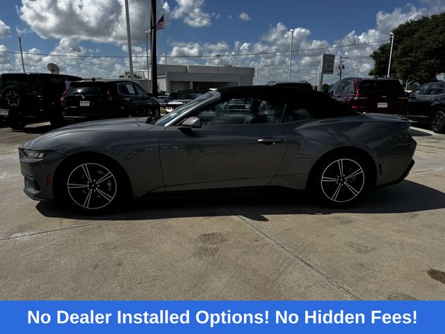 2024 Ford Mustang EcoBoost Premium Gray at DeMontrond Mazda
