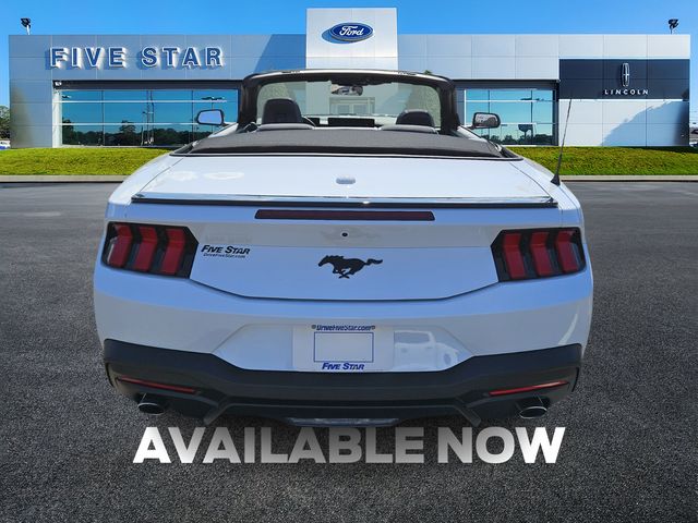 New 2025 White Ford EcoBoost image 6