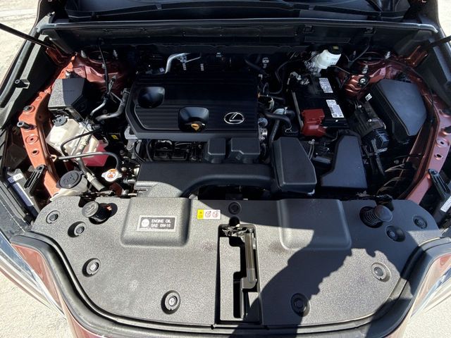 2025 Lexus NX - $38,688