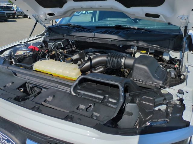 Used 2024 White Ford XLT image 35
