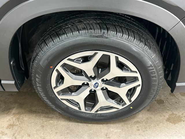 2023 Subaru Forester Premium Black at Rafferty Subaru
