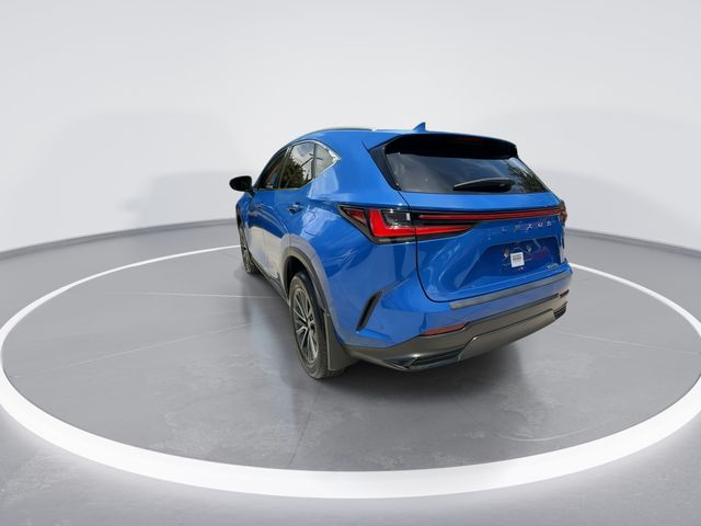 Used 2025 Lexus NX SUV