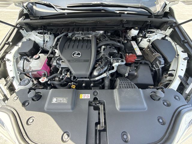 Used 2024 Lexus NX SUV