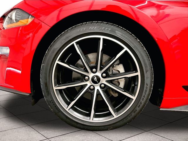 2023 Ford Mustang EcoBoost - 7