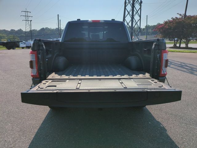 Used 2023 Carbonized Gray Metallic Ford Platinum image 32