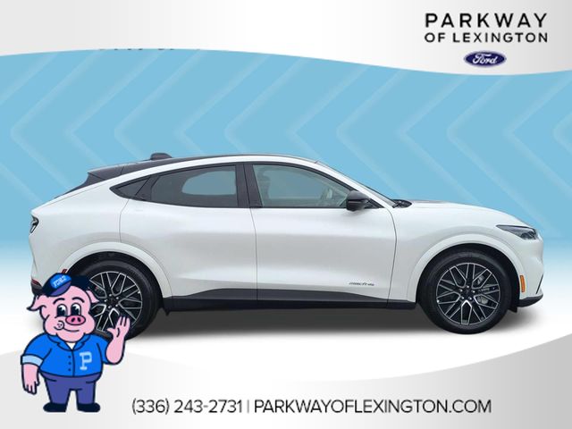 New 2026 White Ford Premium image 6