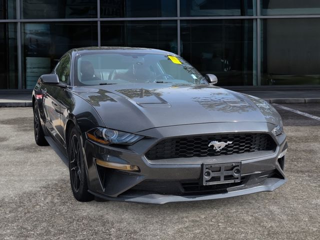 Gray (Magnetic) 2020 Ford Mustang Coupe Rear-Wheel Drive Automatic