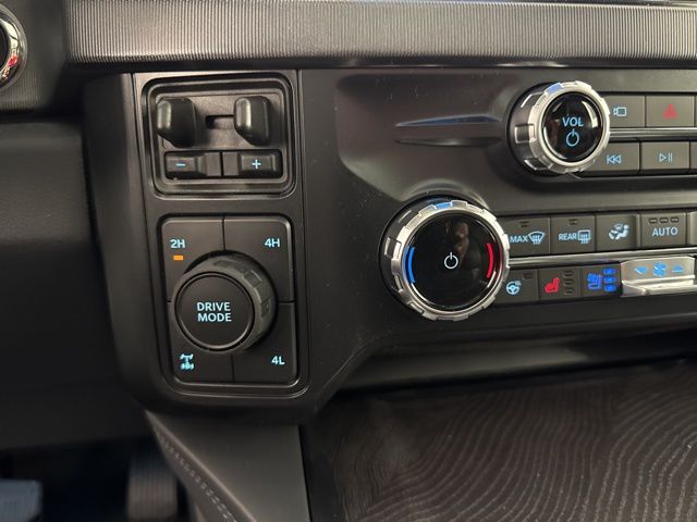 2025 Avalanche Ford Super Duty F-250 SRW Platinum 4X4 Truck