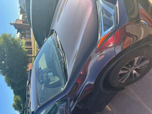 Purple 2018 Toyota RAV4 SUV / Crossover  6-Speed Automatic