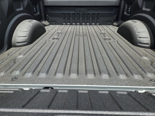 2025 Avalanche Ford F-350SD Platinum 4X4 Truck