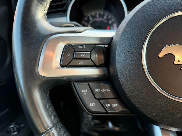 used 2019 Ford Mustang car, priced at $21,995