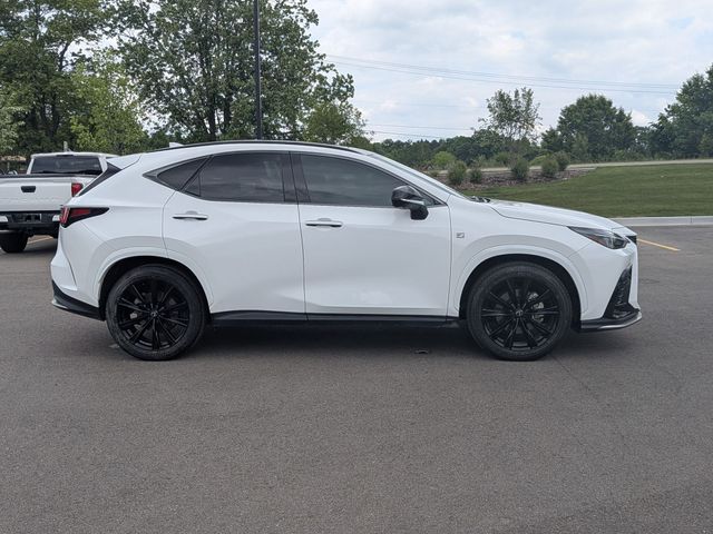 2024 Lexus NX - Image 6