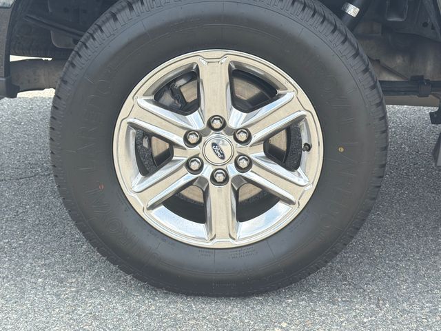 Used 2024 Ford F-150 Truck