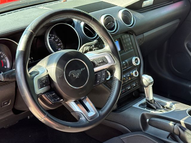Used 2019 Ford Mustang Convertible