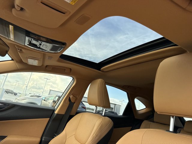 Used 2025 Lexus NX SUV