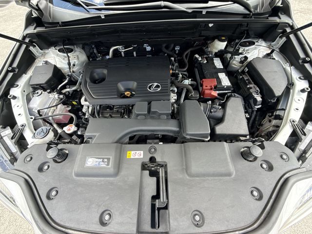 2025 Lexus NX - $37,498
