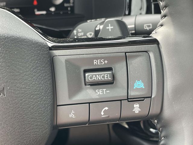 New 2026  Nissan Platinum image 23