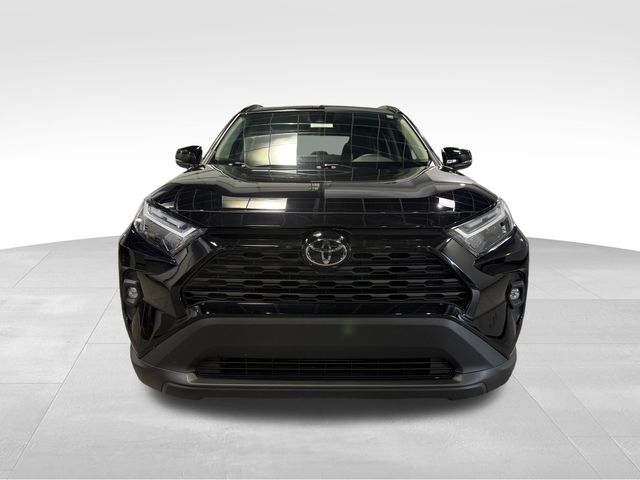 2023 Toyota RAV4 XLE Premium Black at Davis Toyota of Orangeburg