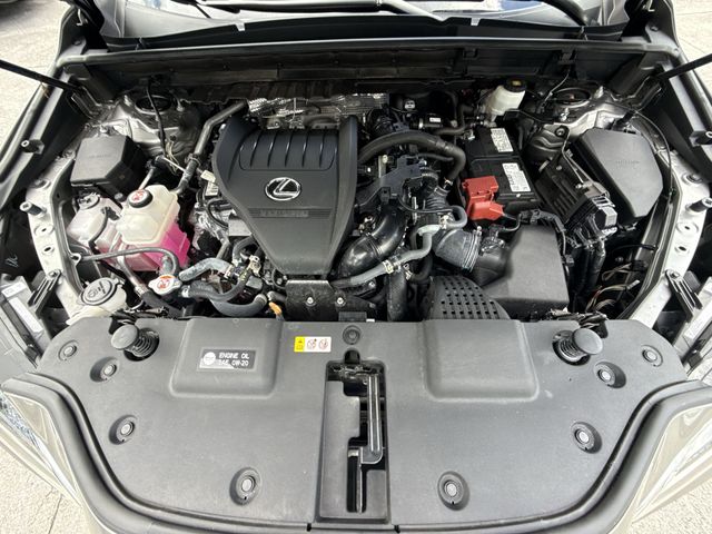 2024 Lexus NX - $43,898