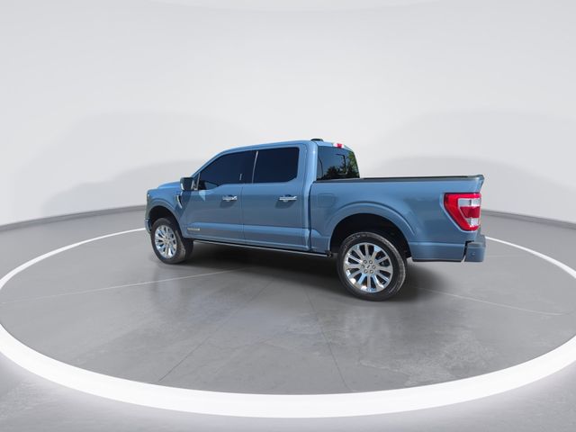 Used 2023 Gray Ford Limited image 6