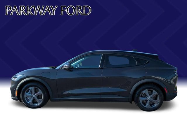 Used 2021 Gray Ford Select image 2