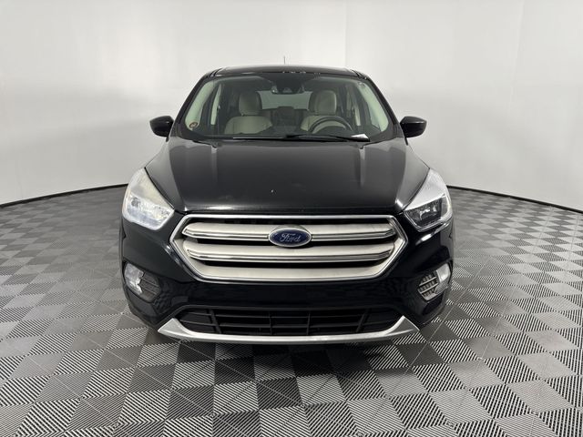 Used 2019 Ford Escape For Sale in Indianapolis, IN