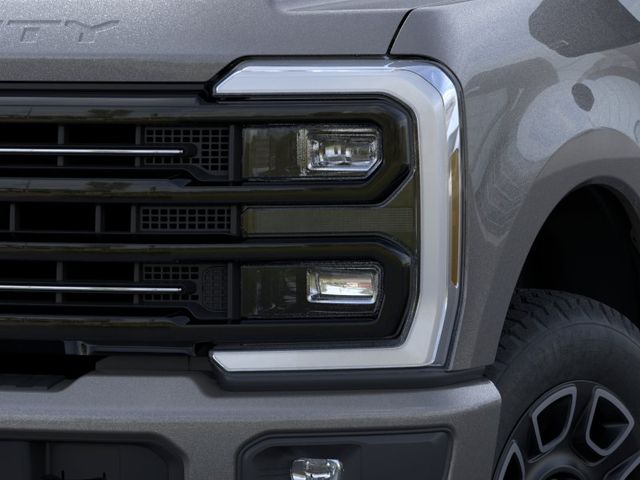 New 2026 Gray Ford Platinum image 18