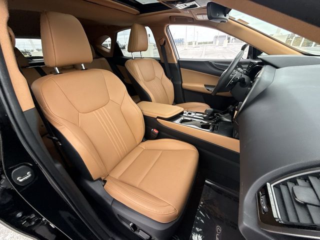 2025 Lexus NX - $41,998