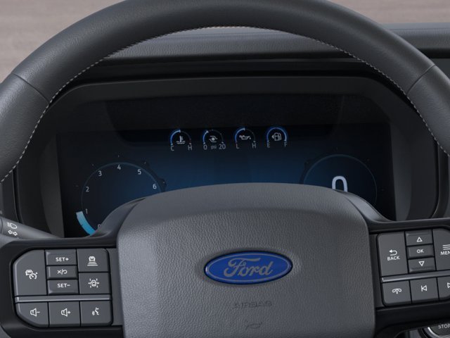 New 2026 Black Ford Platinum image 14