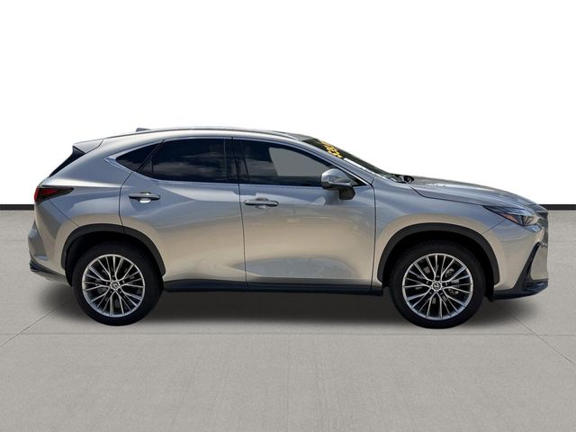 2022 Lexus NX 350 Premium Silver at Westside Lexus