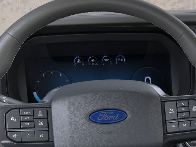 New 2026 Black Ford Platinum image 13
