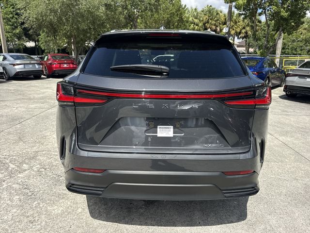 2024 Lexus NX - $38,898