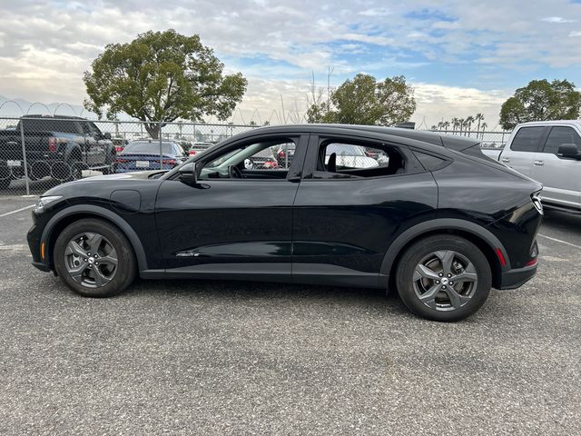 used 2021 Ford Mustang Mach-E car, priced at $20,455