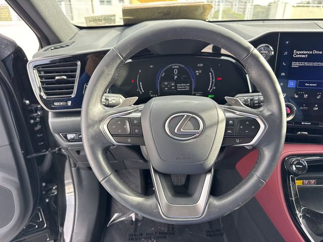 2025 Lexus NX - $47,998