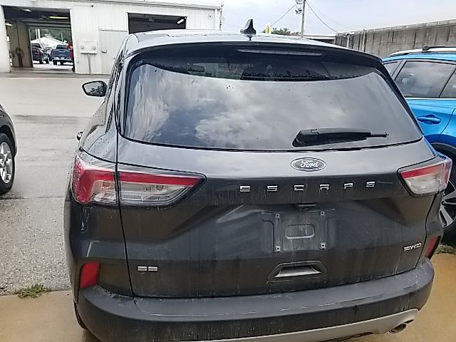 Used 2020 Ford Escape SUV
